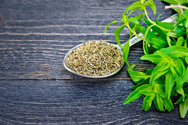 Similar image 19790217