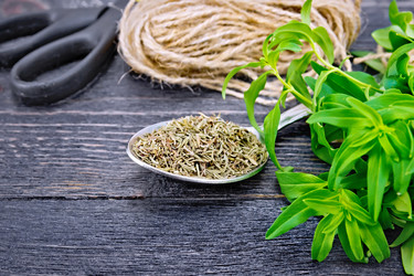 Similar image 19790277