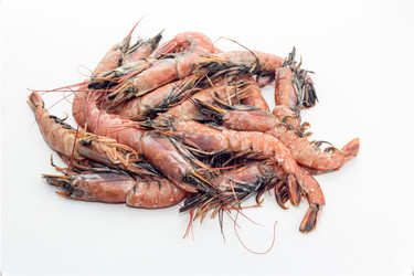 Similar image 19199604