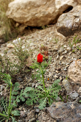 Similar image 19196367