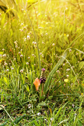 Similar image 19196354