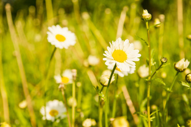 Similar image 19775370