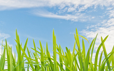 Similar image 19775376