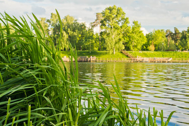 Similar image 19775378