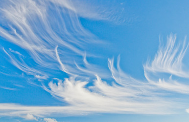 Similar image 19775382