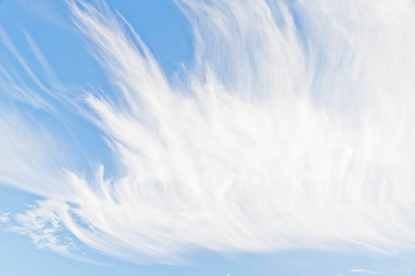 Similar image 19775398