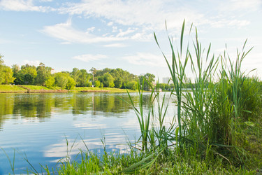 Similar image 19775405