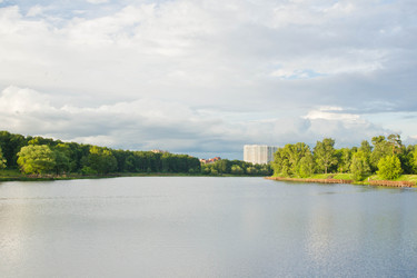 Similar image 19775856