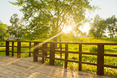 Similar image 19775859