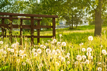 Similar image 19775860