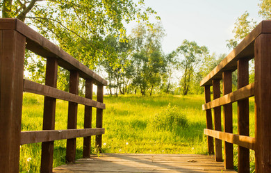 Similar image 19775861