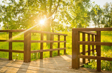 Similar image 19775862