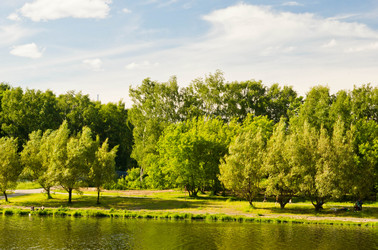 Similar image 19775865