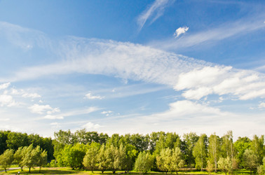 Similar image 19775866