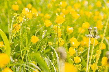 Similar image 19775880