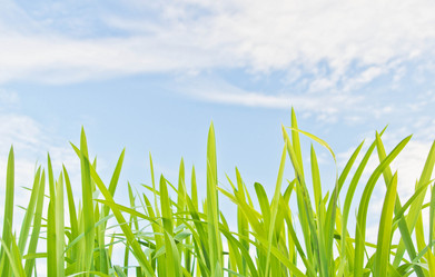 Similar image 19775881