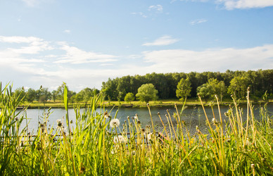 Similar image 19775883