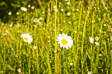 Similar image 19775884