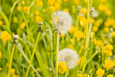 Similar image 19775885