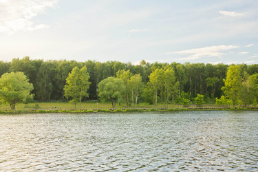 Similar image 19775888