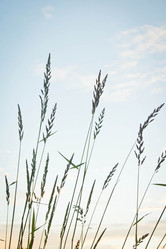 Similar image 19775889