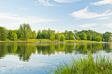 Similar image 19775890