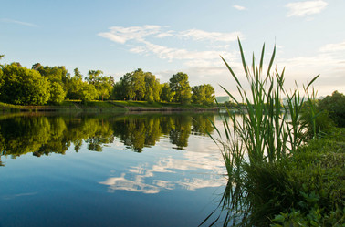 Similar image 19775892