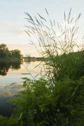 Similar image 19775893