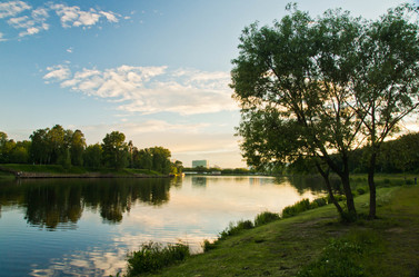 Similar image 19775894