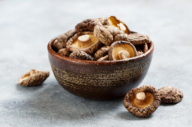 Similar image 19497676