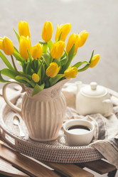 Similar image 19497761