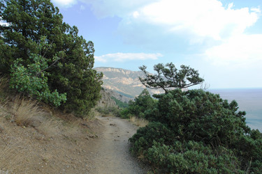 Similar image 19192938