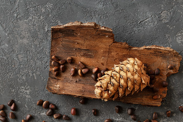 Similar image 19201917