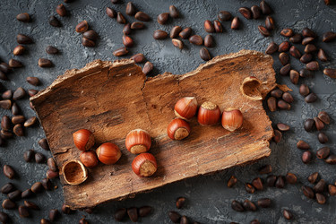 Similar image 19201924