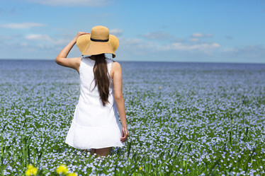 Similar image 19742352