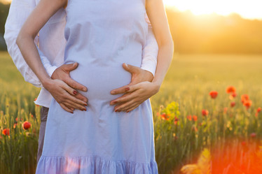 Similar image 19742356