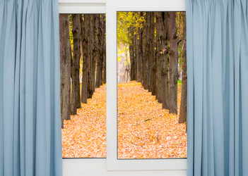 Similar image 19189076