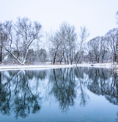 Similar image 19188733