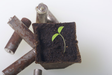 Similar image 19775071