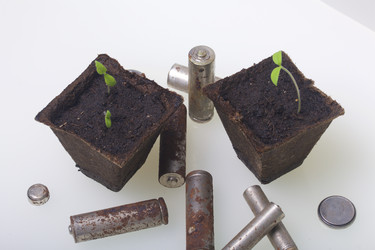 Similar image 19775092