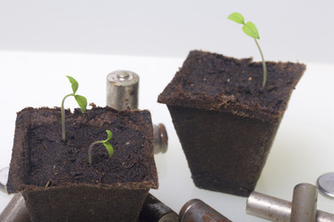 Similar image 19775095