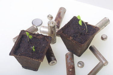 Similar image 19775085