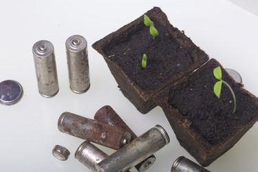 Similar image 19775087