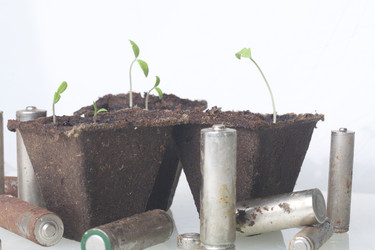 Similar image 19775091