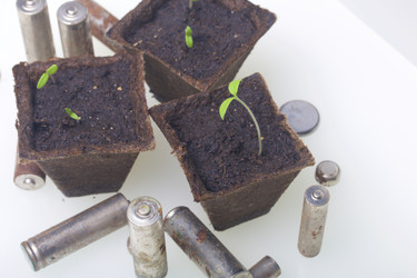 Similar image 19775093