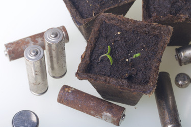 Similar image 19775094