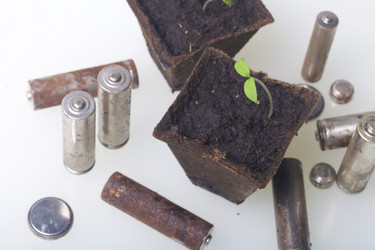 Similar image 19775096