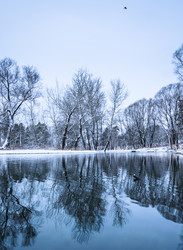 Similar image 19188483