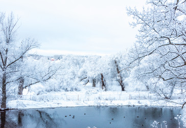 Similar image 19189694