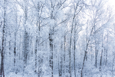 Similar image 19189695